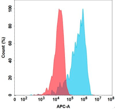 Anti-CD56(lorvotuzumab biosimilar) mAb